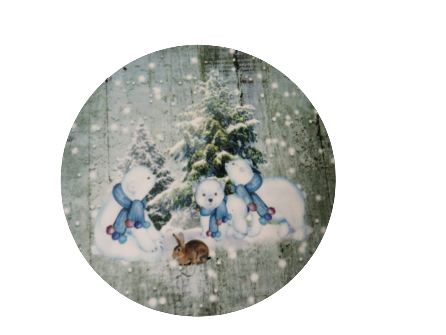 Set Of 4 Coaster Set Polar Bear Christmas Winter Scene