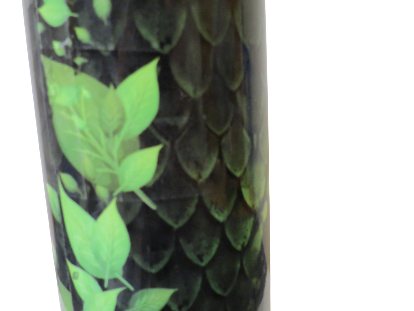 20 oz Metal Tumbler With Straw 1 Eye Dragon Green With Leaf